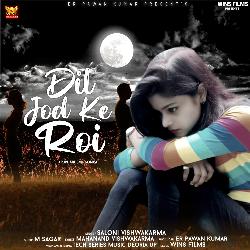 Dil Jod Ke Roi (Punjabi  Song)-GichARADRVs