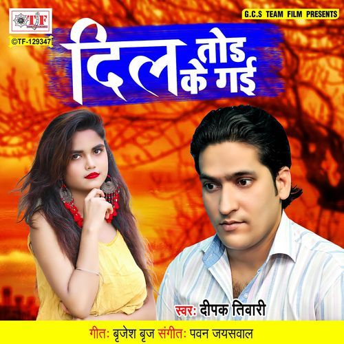 Dil Tod Ke Gai