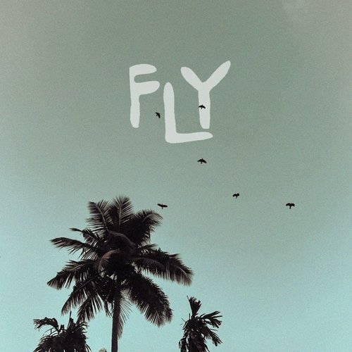 Fly