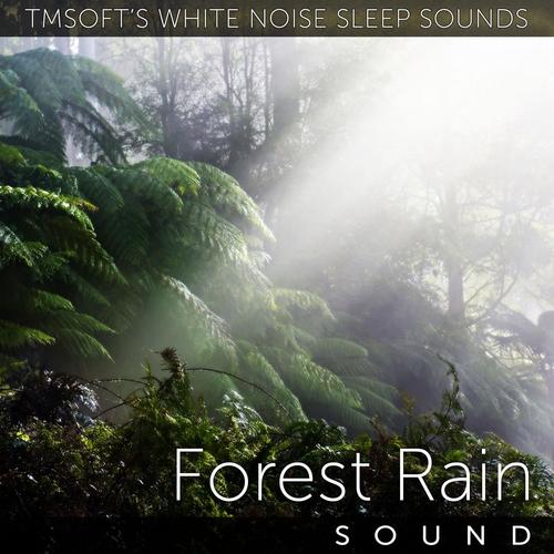 Forest Rain Sound