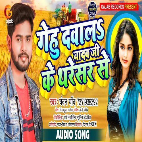 Gehu Dewaal Yadav Ji Ke Tharesar Se