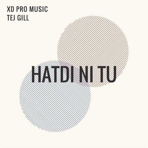 Hatdi Ni Tu (feat. Tej Gill)_poster_image