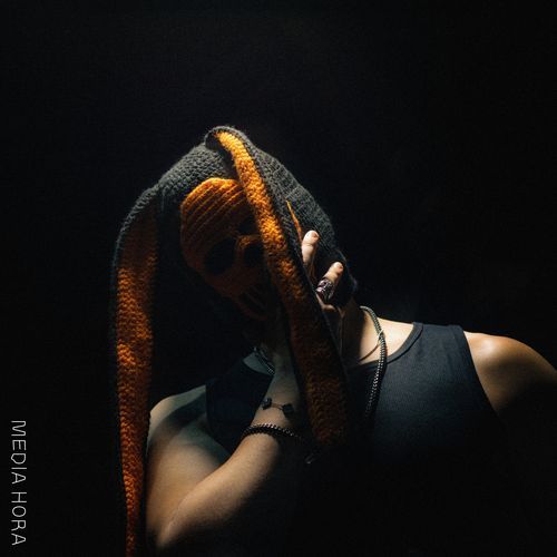 Media Hora cover art
