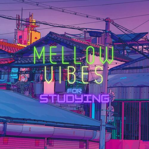 Mellow Vibes for Studying