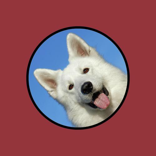 Relaxing Dog cover art