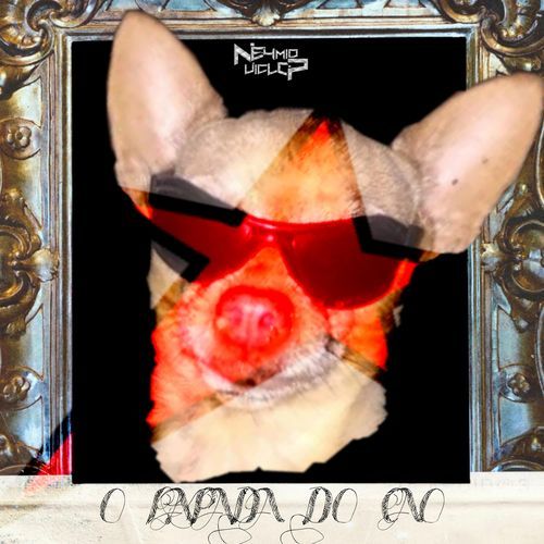 O LAPADA DO CÃO