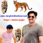 देवा गुर्जर के चीते डरया ना करते