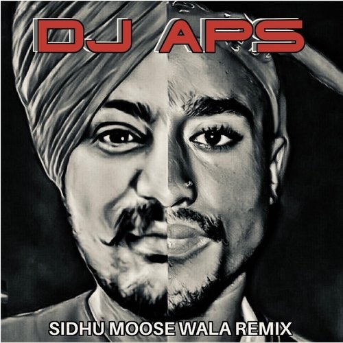 Sidhu Moose Wala (Remix)_poster_image