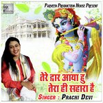 Tera Sundar Roop Salona