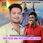 Tere Piche Gori Mato Bari Jada Lutgo