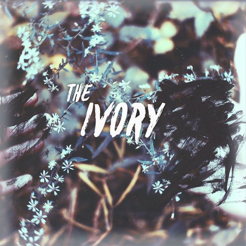 The Ivory cover art
