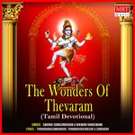 The Wonders Of Thevaram