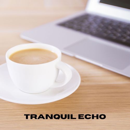 Tranquil Echo_poster_image