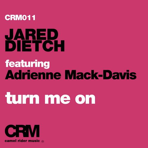 Turn Me On (feat. Adrienne Mack-Davis)_poster_image