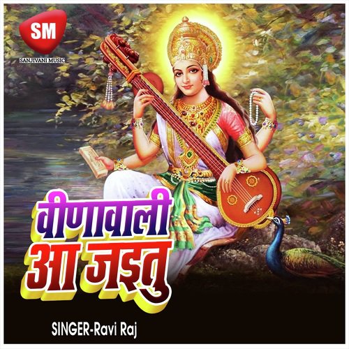 Vina Wali Aa Jaitu (Sarswati Puja Song)_poster_image