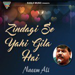 Zindagi Se Yehi Gila Hai