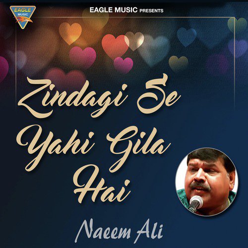 Zindagi Se Yehi Gila Hai - Single