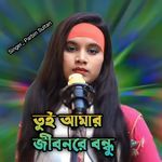 tui amar jobonre bondhu