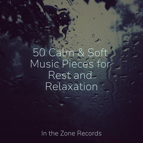 50 Calm &amp; Soft Music Pieces for Rest and Relaxation_poster_image