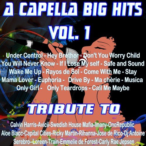 A Capella Big Hits, Vol. 1 (A Capella Versions)