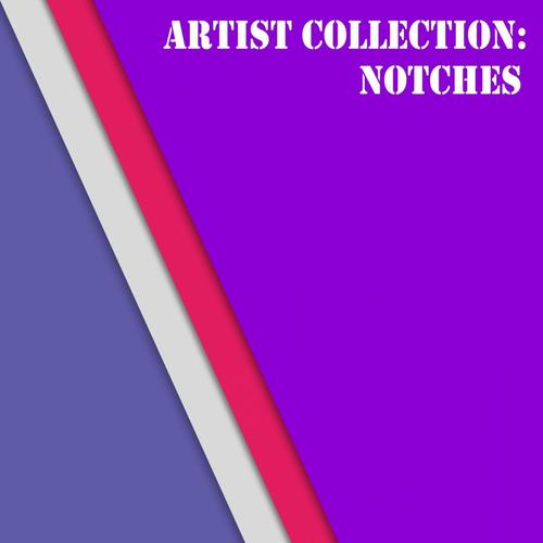 Artist Collection: Notches