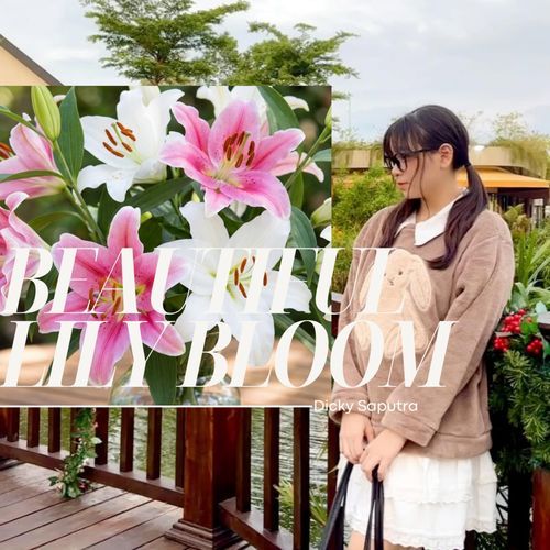 Beautiful Lily Bloom