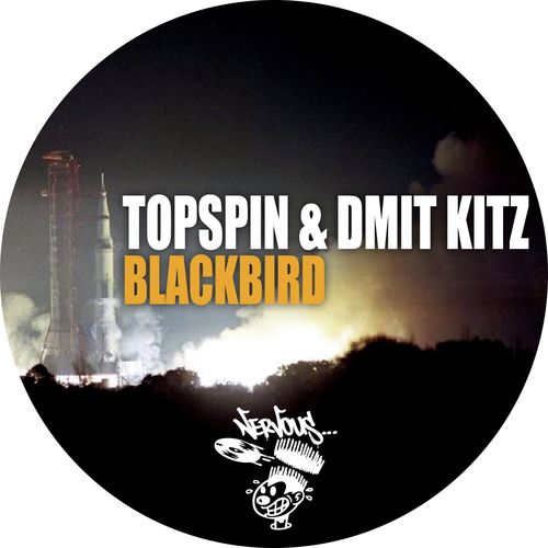 Blackbird (Original Mix)