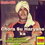 Chora Su Haryane Ka