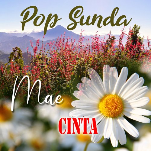 Cinta