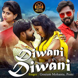 Diwani Diwani-GS45dDFoRGc