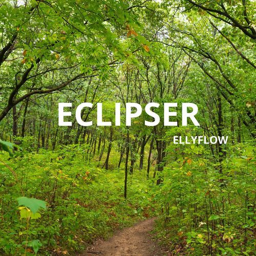 Eclipser