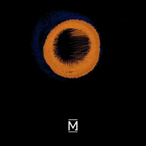 Rarest Flower (Last Men On Earth Acid Remix) cover art