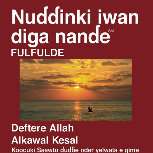 Fulfulde Adamawa Au Cameroun Nouveau Testament (Dramatisédramatisé) - Fulfulde Adamawa for Cameroon Bible