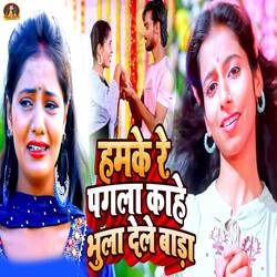 Hamke Re Pagla Kahe Bhula Dele Bade