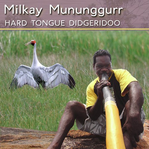 Hard Tongue Didgeridoo Songs Download Free Online Songs JioSaavn