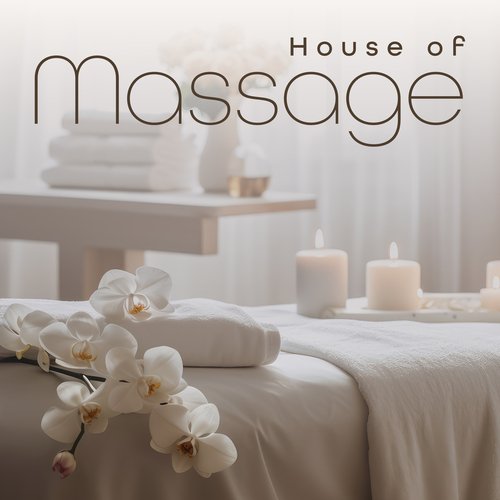 House of Massage: Spa Relaxation Therapy_poster_image