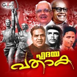 Chudu Ninam Nananjathane (Male Version)