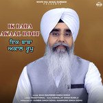 Ik Baba Akaal Roop