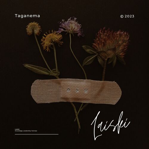 Laiski cover art