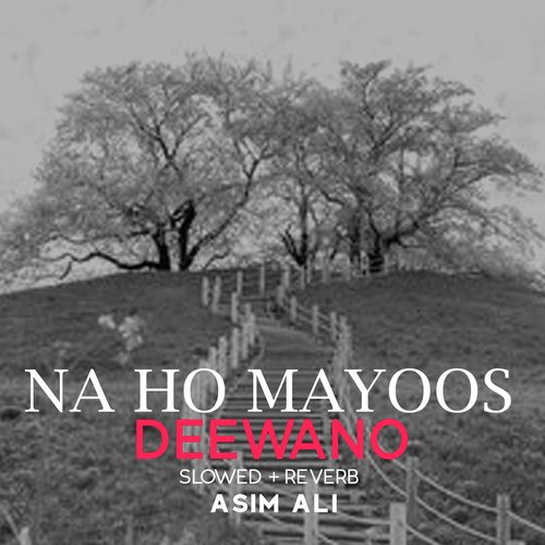 Na Ho Mayoos Deewano Lofi
