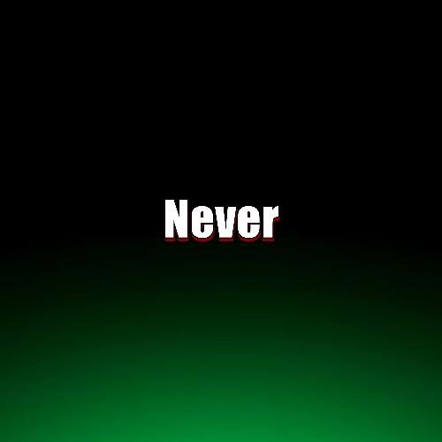 Never_poster_image