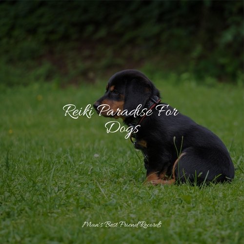 Meditating Music cover art