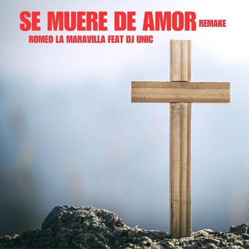 Se Muere De Amor (Remake)