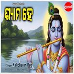 Shyam He