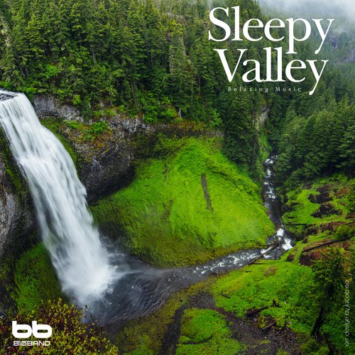 Sleepy Valley_poster_image