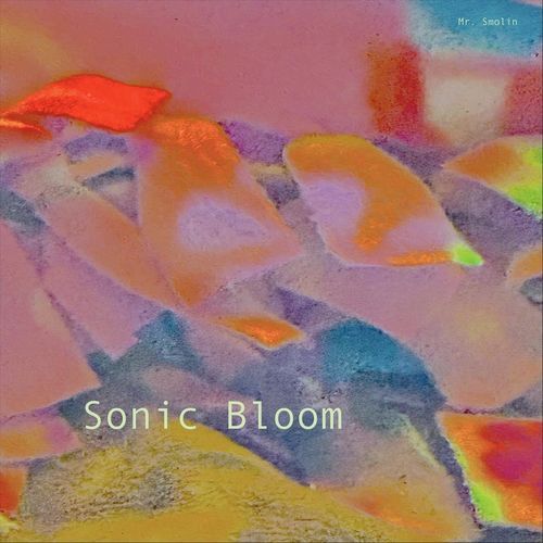 Goose Braids cover art