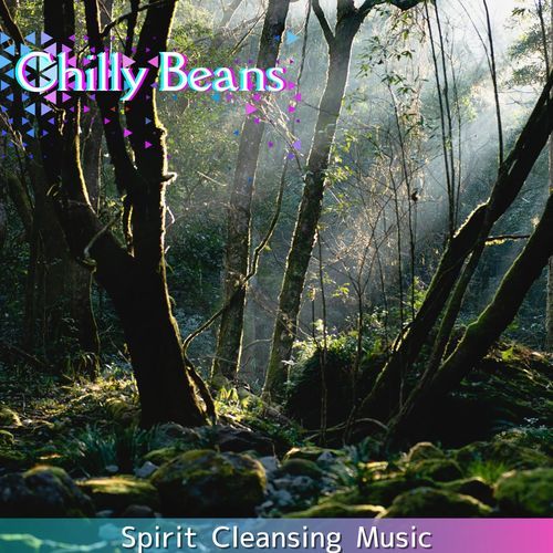 Music for the Gentle Soul cover art