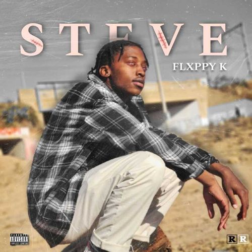 Steve cover art