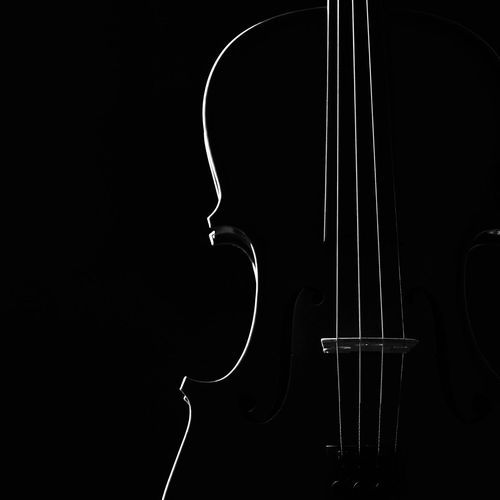 Symphony of Softness: Orchestra Calm