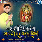 Tari Bhakti No Rang Lagyo Ma Vardayini